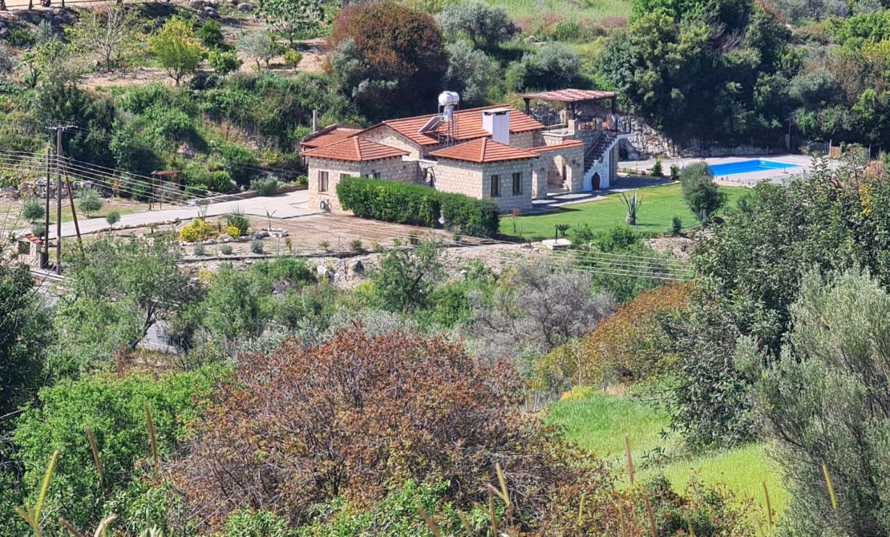 Gaia Residence, Peristerona, Polis Chrysochous Paphos Extérieur photo